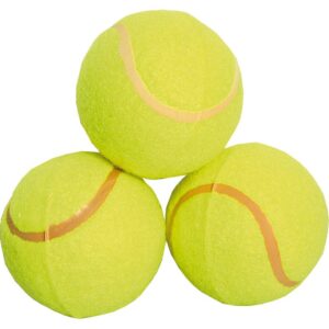 Trefoil Educational Tennis Balls 3'S